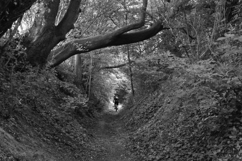 Bild Event Archiv 2023 MTB-