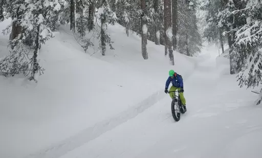 Bild E-Fatbike-Spass - Davos