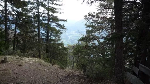 Mountainbike TourFeldis-Rothenbrunnen Tour-Bild Feldis-Rothenbrunnen