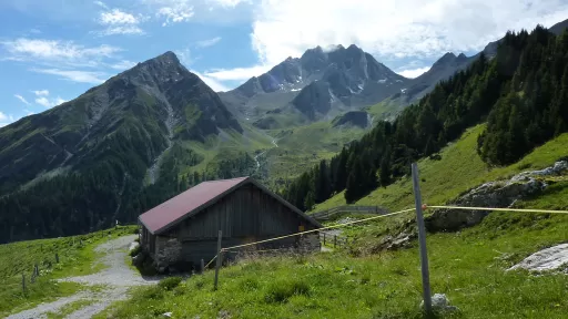 Tour-Bild Alp Tscharnoz (Bella Vista, 658 Savognin)