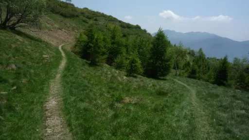 Mountainbike TourMonte Bar - Moncucco - Signòra Tour-Bild Monte Bar - Moncucco - Signòra