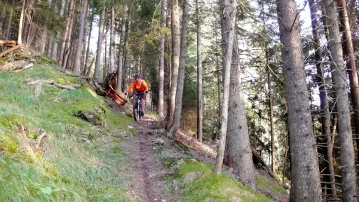 Mountainbike TourRhäzüns - Feldis Endurorunde Tour-Bild Rhäzüns - Feldis Endurorunde