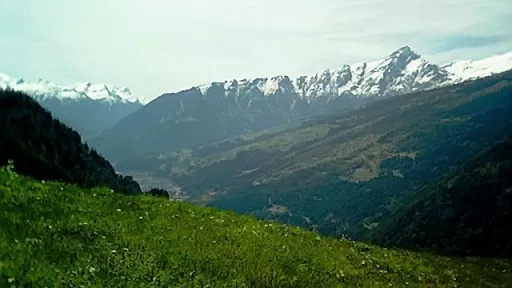 Mountainbike TourFeldis Tour-Bild Feldis