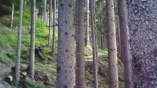 Mountainbike TourTuals Tour-Bild Tuals