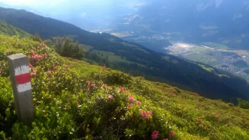 Mountainbike TourBomber-Trail Tour-Bild Bomber-Trail