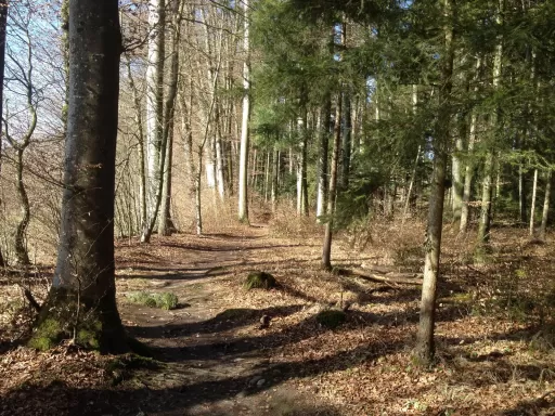 Mountainbike TourWauwilermoos Trailumrundung Tour-Bild Wauwilermoos Trailumrundung