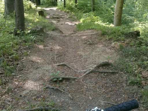 Mountainbike TourSchwerzenbach/Dübendorf Lorenkopf/Züriberg Feierabend Trailrunde Tour-Bild Schwerzenbach/Dübendorf Lorenkopf/Züriberg Feierabend Trailrunde