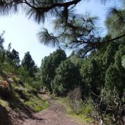 Bild Königsweg (Camino real), La Palma (Kanaren) 1 