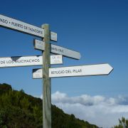 Bild Königsweg (Camino real), La Palma (Kanaren) 24 