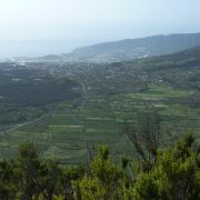 Bild Königsweg (Camino real), La Palma (Kanaren) 8 