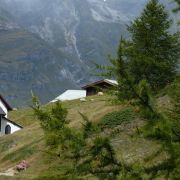Bild Gornergrat, Zermatt 26 