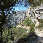 Bild Coll de l'Ofre (Mallorca) 20 