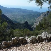 Bild Coll de l'Ofre (Mallorca) 26 