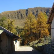 Bild Surava - Alp Ozur - Alp Era 12 