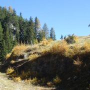 Bild Surava - Alp Ozur - Alp Era 16 