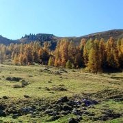 Bild Surava - Alp Ozur - Alp Era 17 