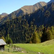 Bild Surava - Alp Ozur - Alp Era 18 