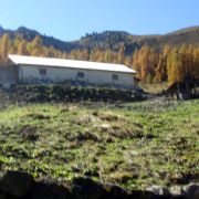 Bild Surava - Alp Ozur - Alp Era 9 