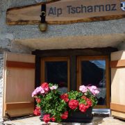 Bild Alp Tscharnoz (Bella Vista, 658 Savognin) 17 