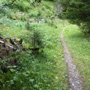 Bild Alp Tscharnoz (Bella Vista, 658 Savognin) 25 