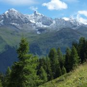 Bild Alp Tscharnoz (Bella Vista, 658 Savognin) 8 