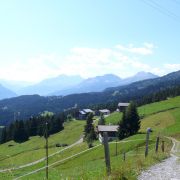 Bild Chur - Alp Stätz - Alter Schin 13 