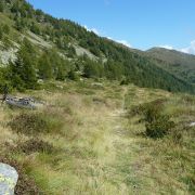 Bild Berninatrail - Col d'Anzana 31 