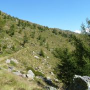 Bild Berninatrail - Col d'Anzana 33 