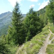 Bild Berninatrail - Col d'Anzana 35 
