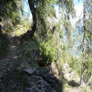 Bild Berninatrail - Col d'Anzana 41 
