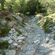 Bild Col Rodella, Val di Fassa (Dolomiten) 39 