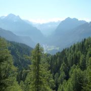 Bild Col Rodella (Variante 530er), Val di Fassa (Dolomiten) 4 