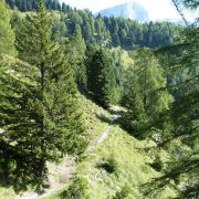 Bild Col Rodella (Variante 530er), Val di Fassa (Dolomiten) 7 