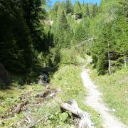Bild Col Rodella (Variante 530er), Val di Fassa (Dolomiten) 8 