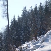 Bild Safiental (Winter-Tour) 13 
