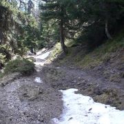 Bild Dutjer Alp 10 