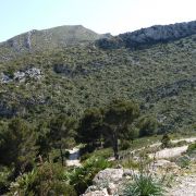 Bild Torre d'Albarca (Mallorca) 24 