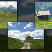 Bild Trun - Alp Nadels 5 