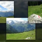Bild Trun - Alp Nadels 7 