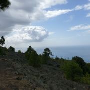 Bild Mendotrail, La Palma (Kanaren) 2 