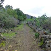 Bild Mendotrail, La Palma (Kanaren) 6 