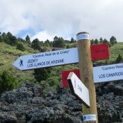 Bild Mendotrail, La Palma (Kanaren) 7 