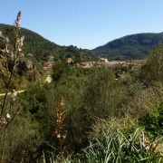 Bild Esporles mit Lokaltrail (Tramuntana - Mallorca) 15 