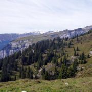 Bild Gletschermühlen (Alp Mora) 16 