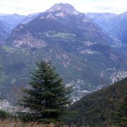 Bild Alpe di Gesero 7 