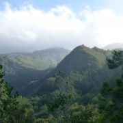 Bild LP 9 – Vom Kraterrand nach Santo Domingo (La Palma) 34 