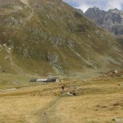 Bild Keschhütte - von S-chanf nach Bergün 14 