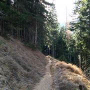 Bild Lantsch/Lenz - Alvaschein Trailtour 11 