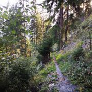 Letzter Trailabschnitt