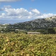 Bild Cala Gonone – Passo Littu – Dorgali – Cala Fùili 3 